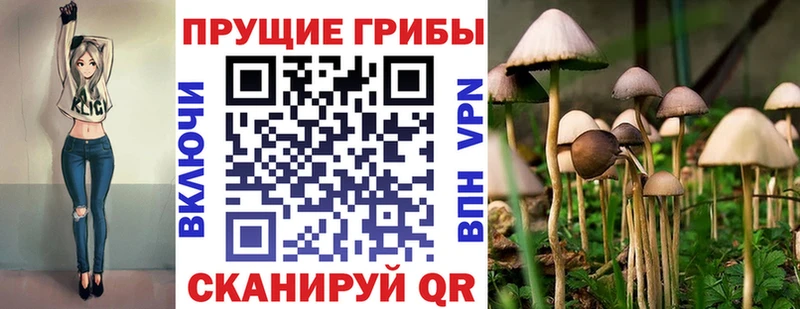 kraken ONION  купить закладку  Бобров  мориарти какой сайт  Галлюциногенные грибы Psilocybe 